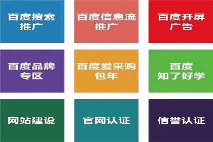 某公司网站sem托管项目纪实